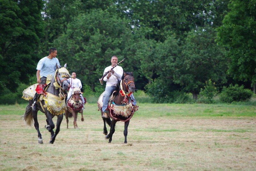 Le Moussem des Cultures 2008 066.jpg